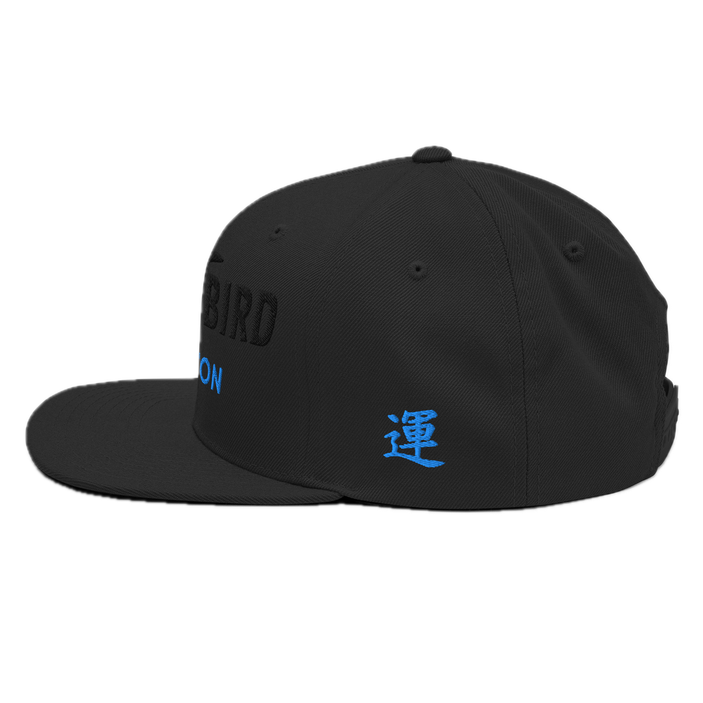 Houston Pride Cap
