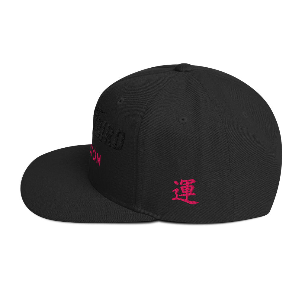 Launch Capsule Snapback Hat